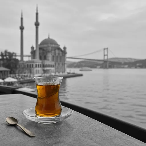 Mosque Ortaköy Istanbul: staying in style beside the Bosphorus